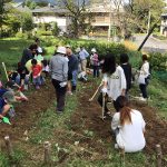 美しくしよう会と子供会の芋ほり