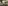 美しくしよう会12月例会