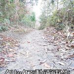 曼荼羅山の大塚遊歩道が綺麗に