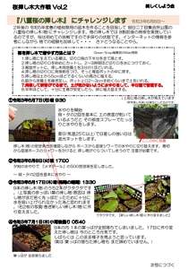 八重桜挿し木にチャレンジ No2 朝日二丁目自治会サイト 八重桜挿し木にチャレンジ No2 朝日二丁目自治会サイト