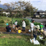 美しくしよう会　芋掘り大会を子ども会といっしょに実施