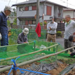 サツマイモ植え付け