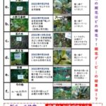 つらつら椿外苑完成記念 椿開花ダービー速報　第3号(8月21日)