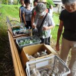  第9回朝日二丁目朝市・(9月1日(金) 9時～10時)