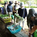 第42回 朝日二丁目金曜朝市・(5月24日(金)9時～9時35分)