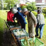 第44回 朝日二丁目金曜朝市・(6月7日(金)9時～9時35分)