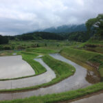 おきなさらさの写真館特別編Ⅰ(住民写真館)