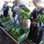 第64回 朝日二丁目金曜朝市(10月25日(金))