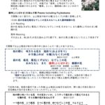万葉集:藤袴(フジバカマ)を詠んだ歌クイズ