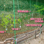 つらつら椿外苑2024年～25年期 名札(A5版)設置完了