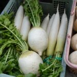第79回 朝日二丁目金曜朝市(3月14日(金))
