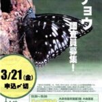 今年の「チョウ調査員」申込み〆切迫る!!