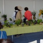 『野の花の展示とお話』に行って来ました