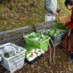 第85回 朝日二丁目金曜朝市(4月25日(金))