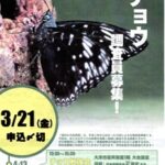 大津市チョウ調査員の「チョウ勉強会」に行って来ました。