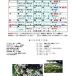 2025年６月ごみカレンダー