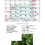 2025年8月ごみカレンダー