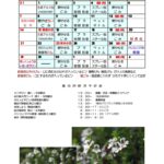 2025年9月ごみカレンダー