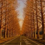 ８月も終わりだが？