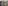 定例のミニサロンが開催されました(8月18日第3月曜日)