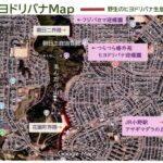 アサギマダラを呼ぼう朝日2の会【身近にヒヨドリバナが自生!?】